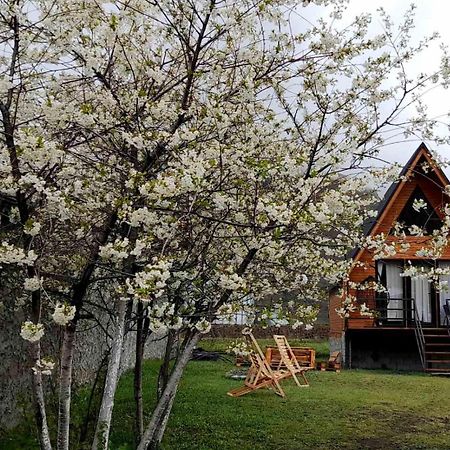 Thomas' Hut Apartment Kazbegi Exterior foto