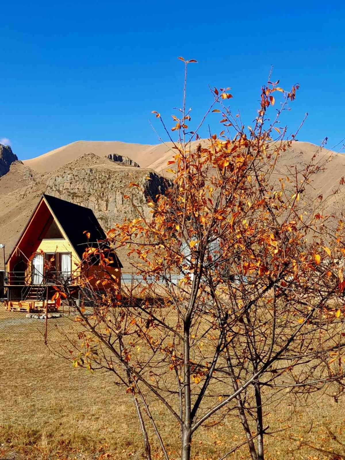 Thomas' Hut Apartment Kazbegi Exterior foto