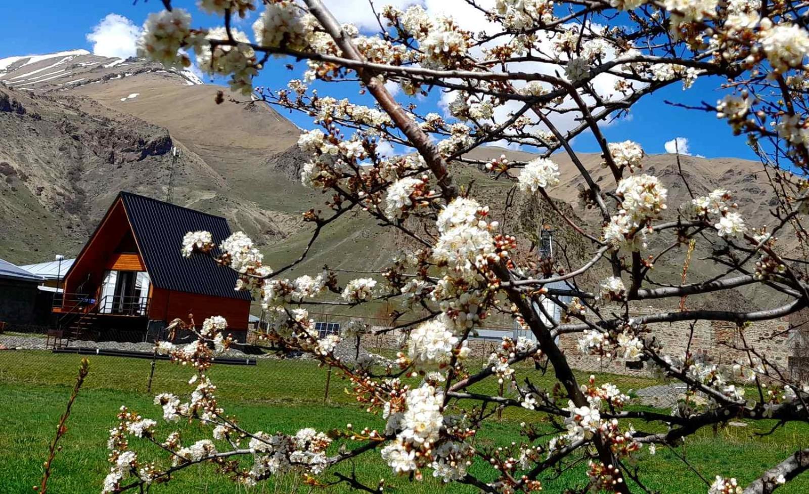 Thomas' Hut Apartment Kazbegi Exterior foto
