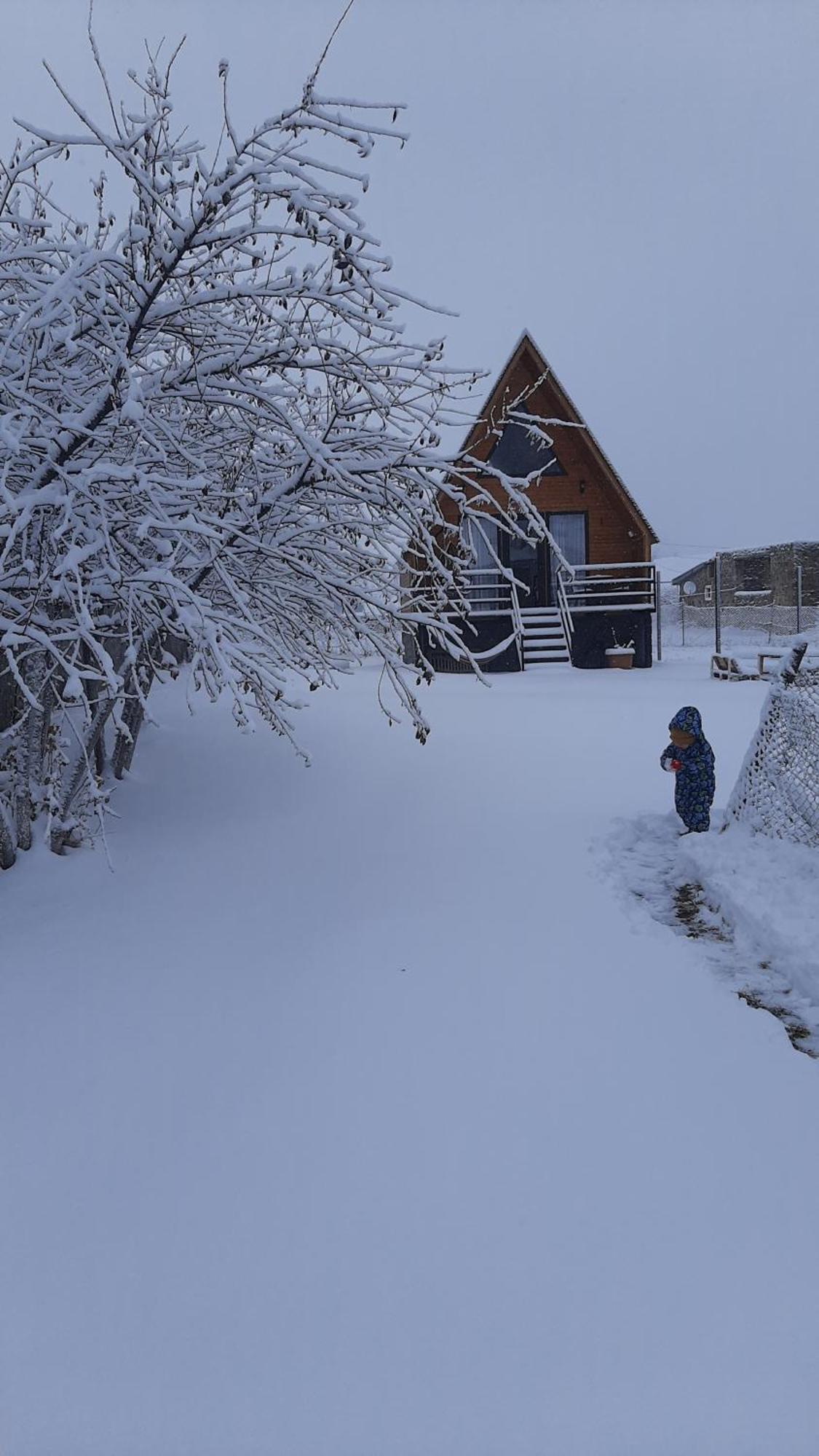 Thomas' Hut Apartment Kazbegi Exterior foto