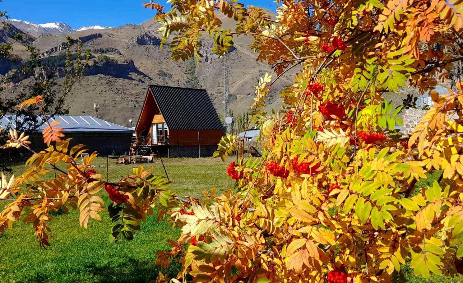 Thomas' Hut Apartment Kazbegi Exterior foto